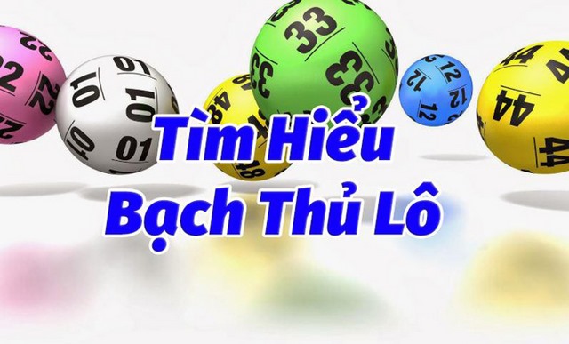 Bạch thủ lô và những thông tin cần biết